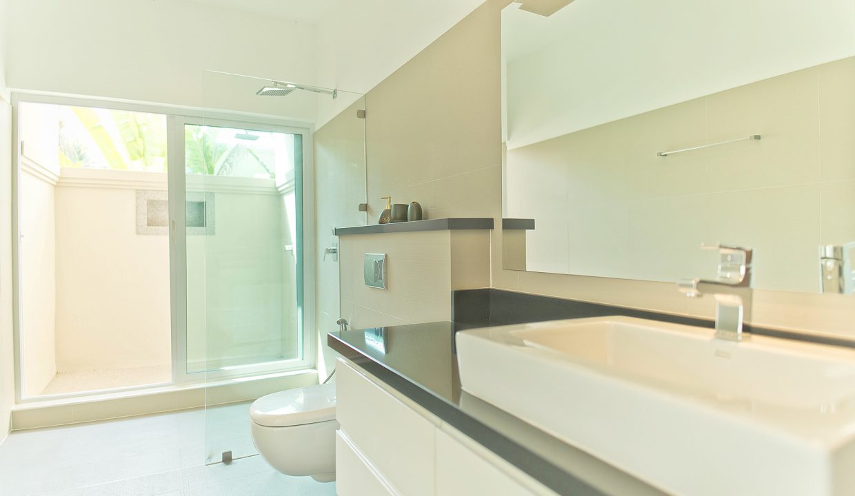 Vineyard-3-P20- (10)