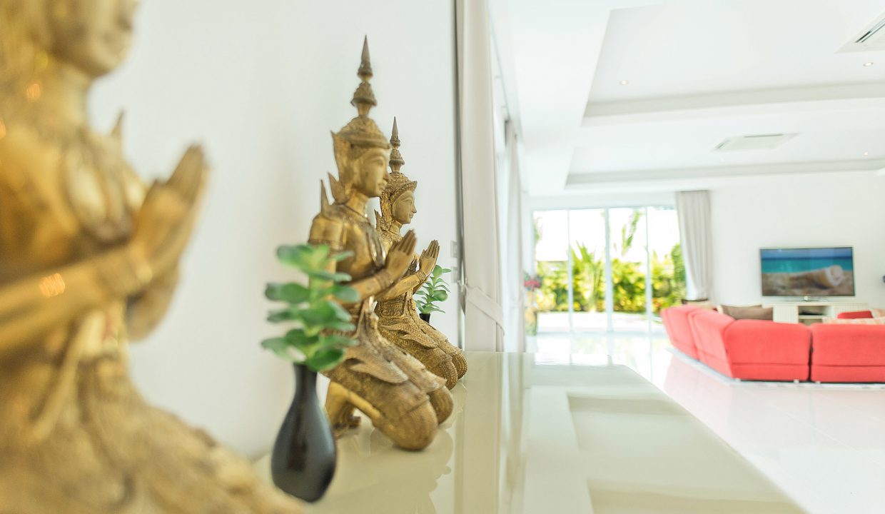 Vineyard-3-P20- (14)