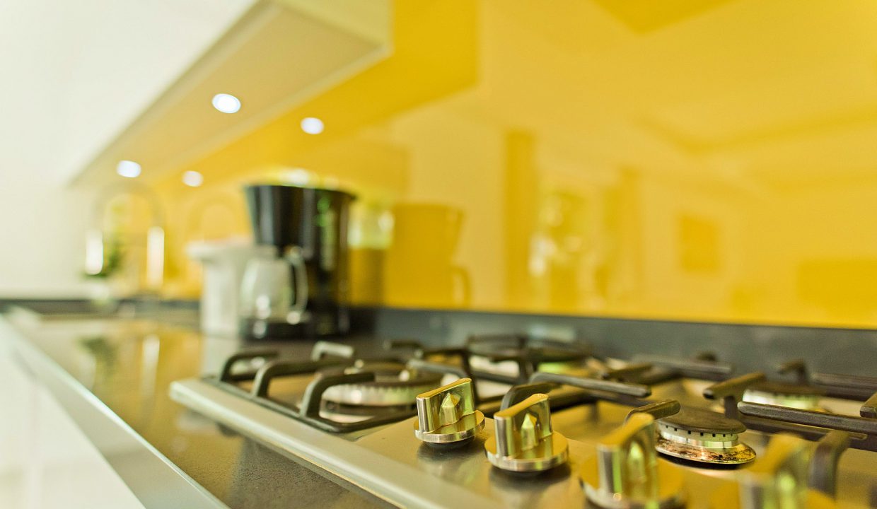 Vineyard-3-P20- (32)