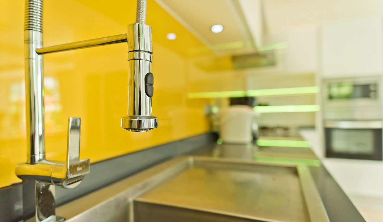 Vineyard-3-P20- (33)