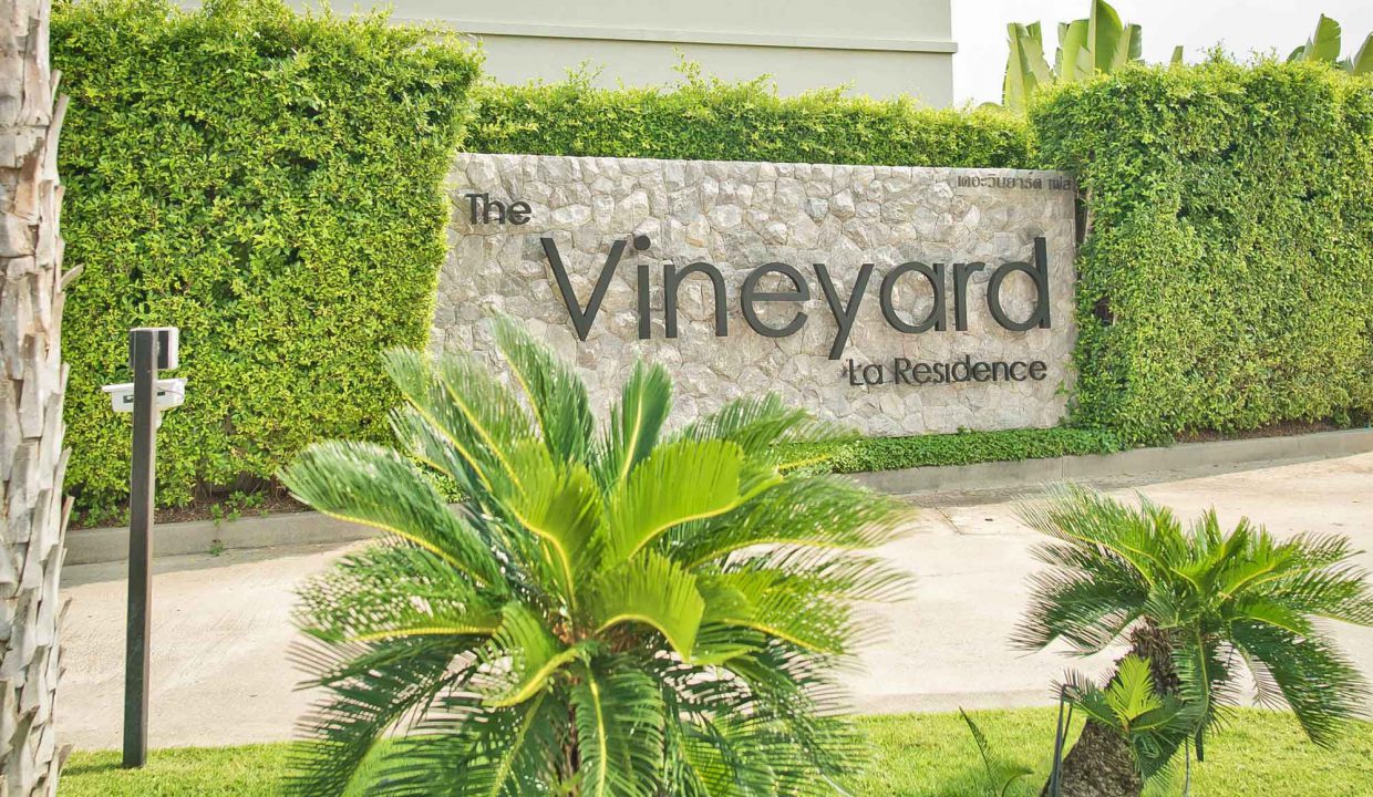 Vineyard-3-P20- (47)