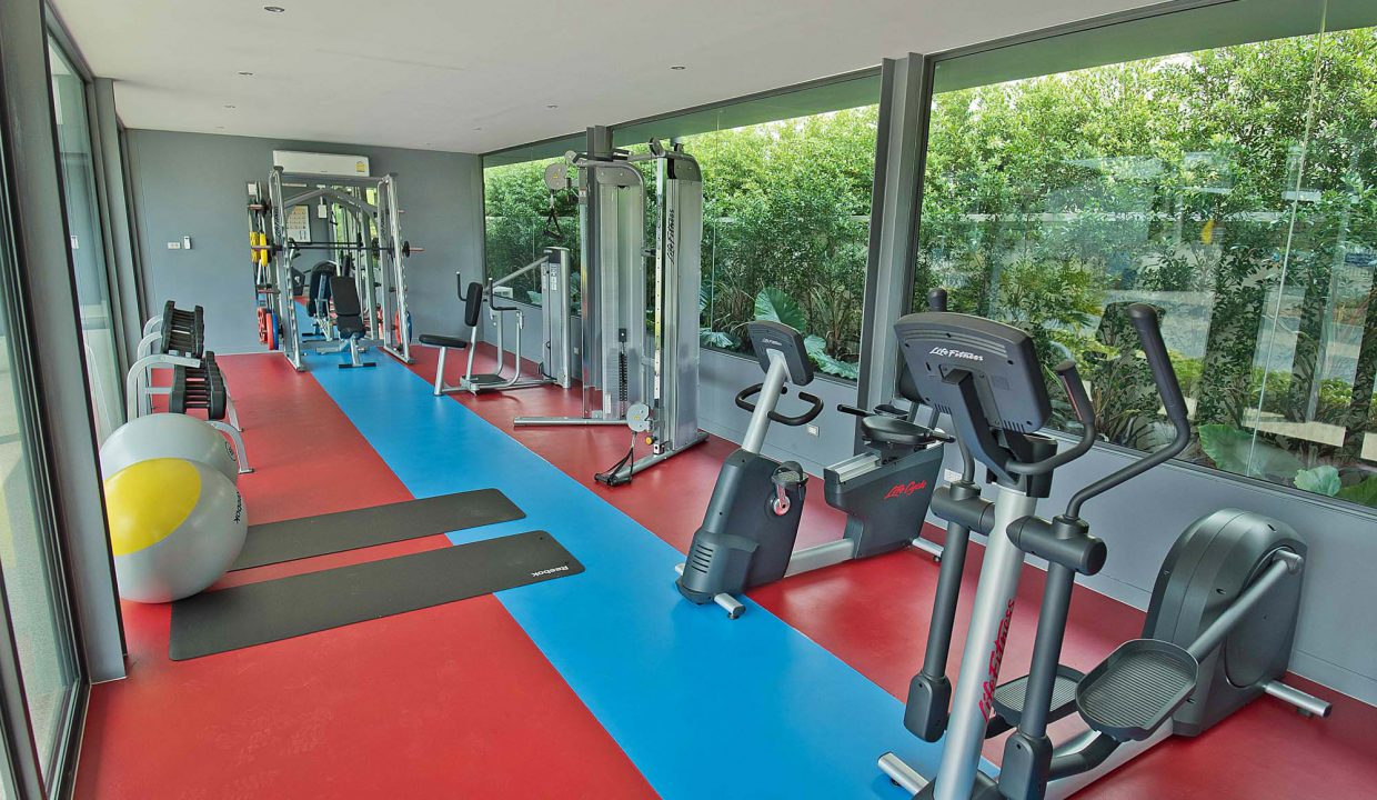 Vineyard-3-P20- (53)