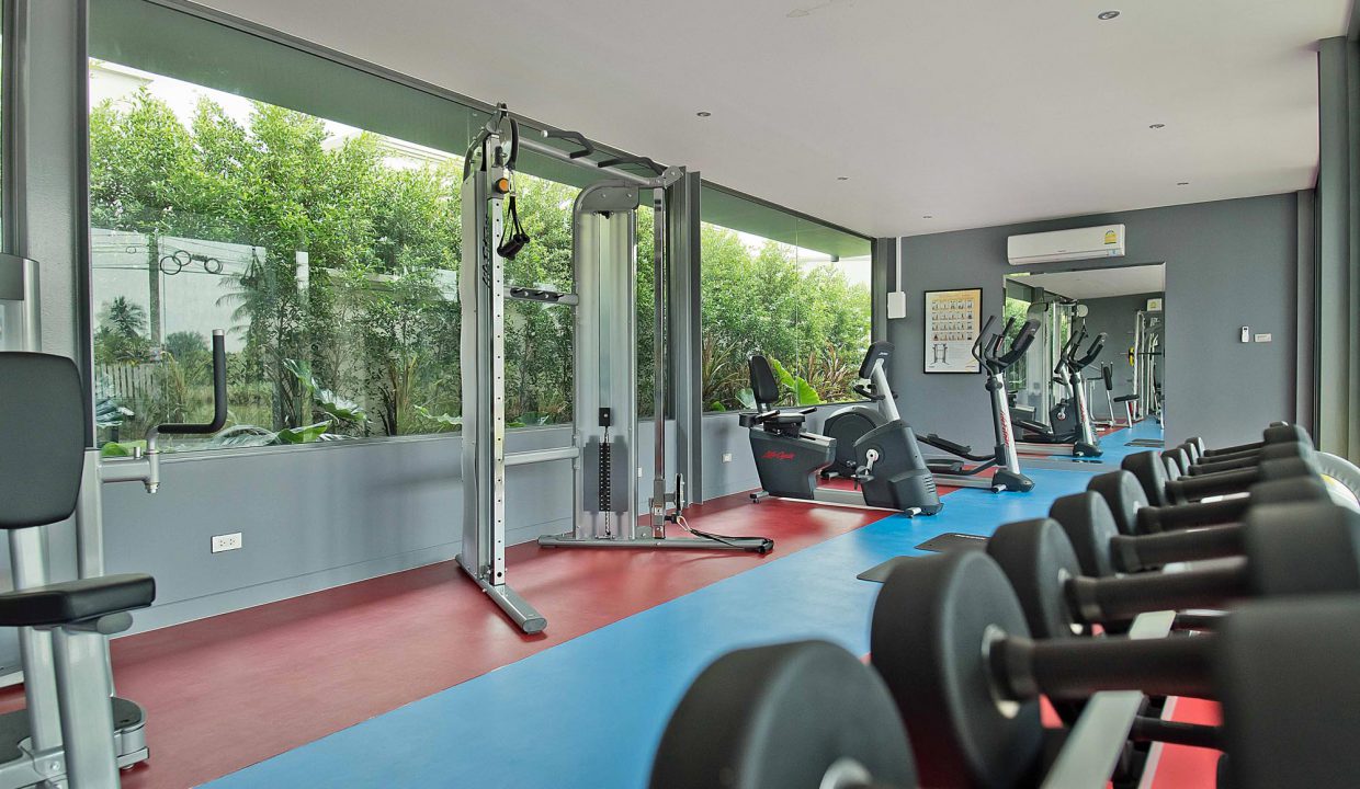 Vineyard-3-P20- (54)