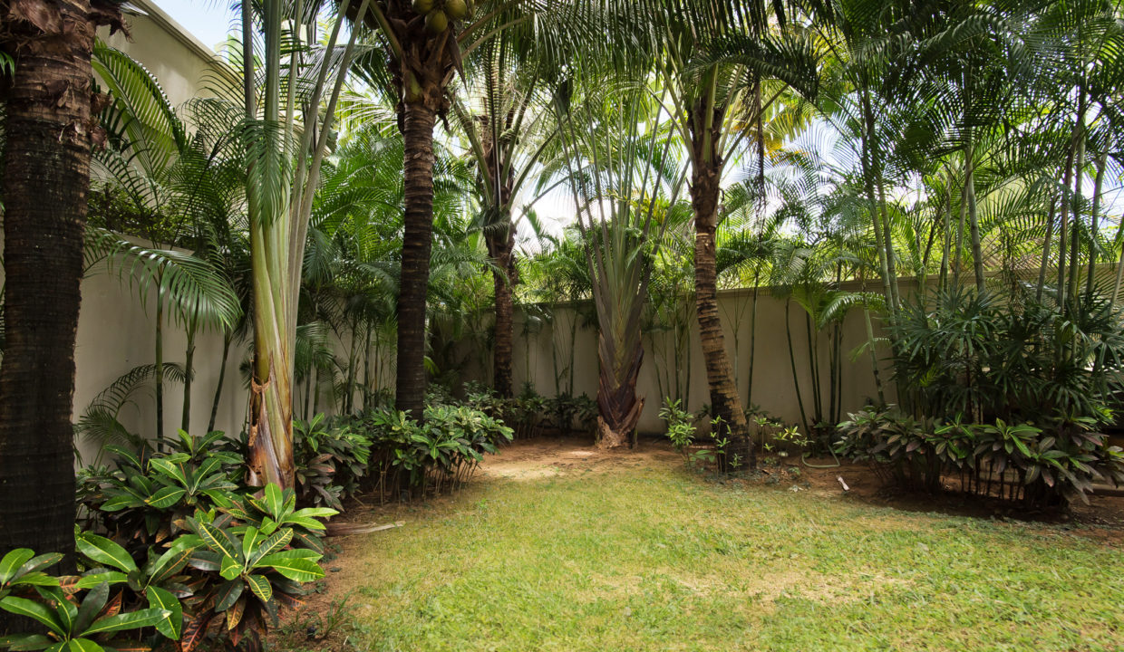 Vineyard 3 - Plot 17 (14)